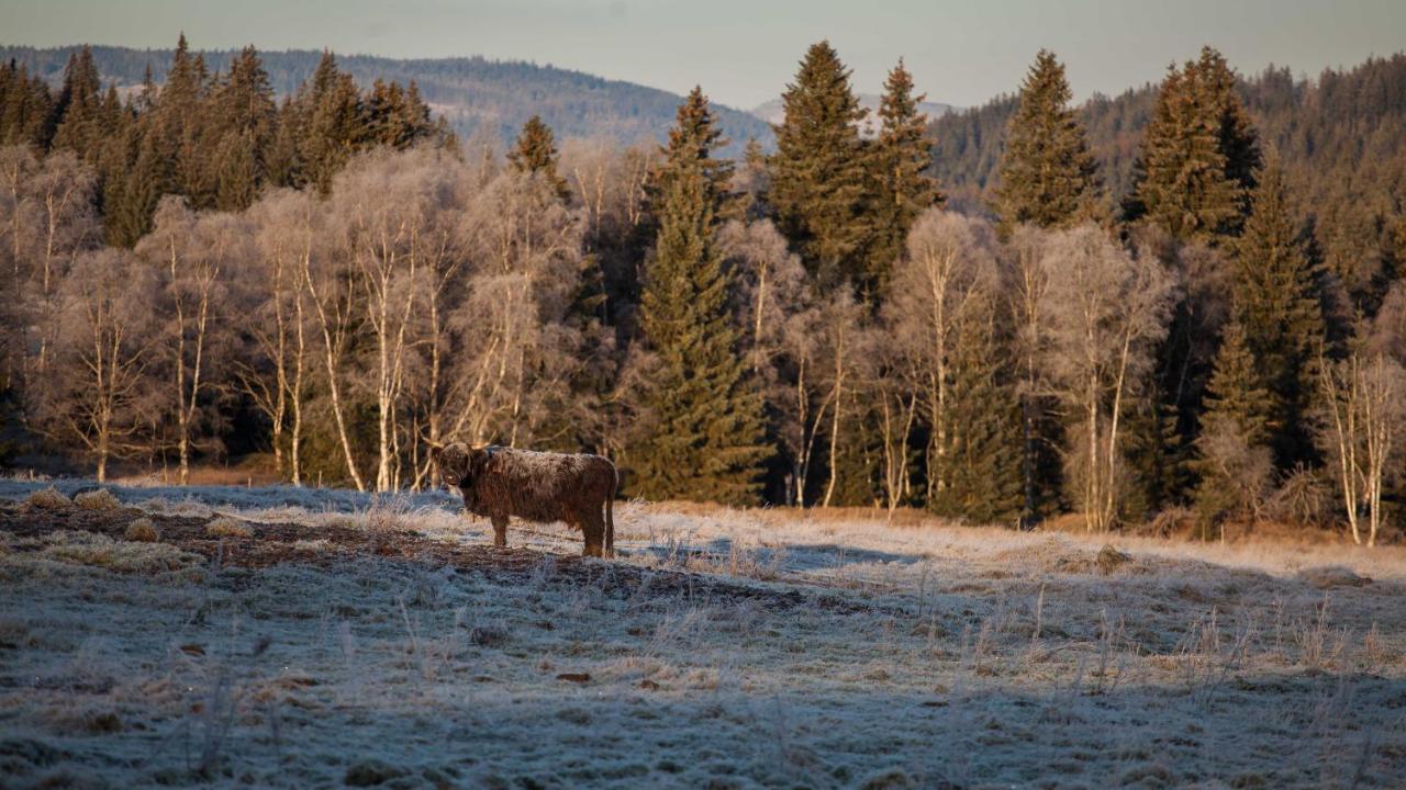 Penzion Horska Kvilda Exteriör bild