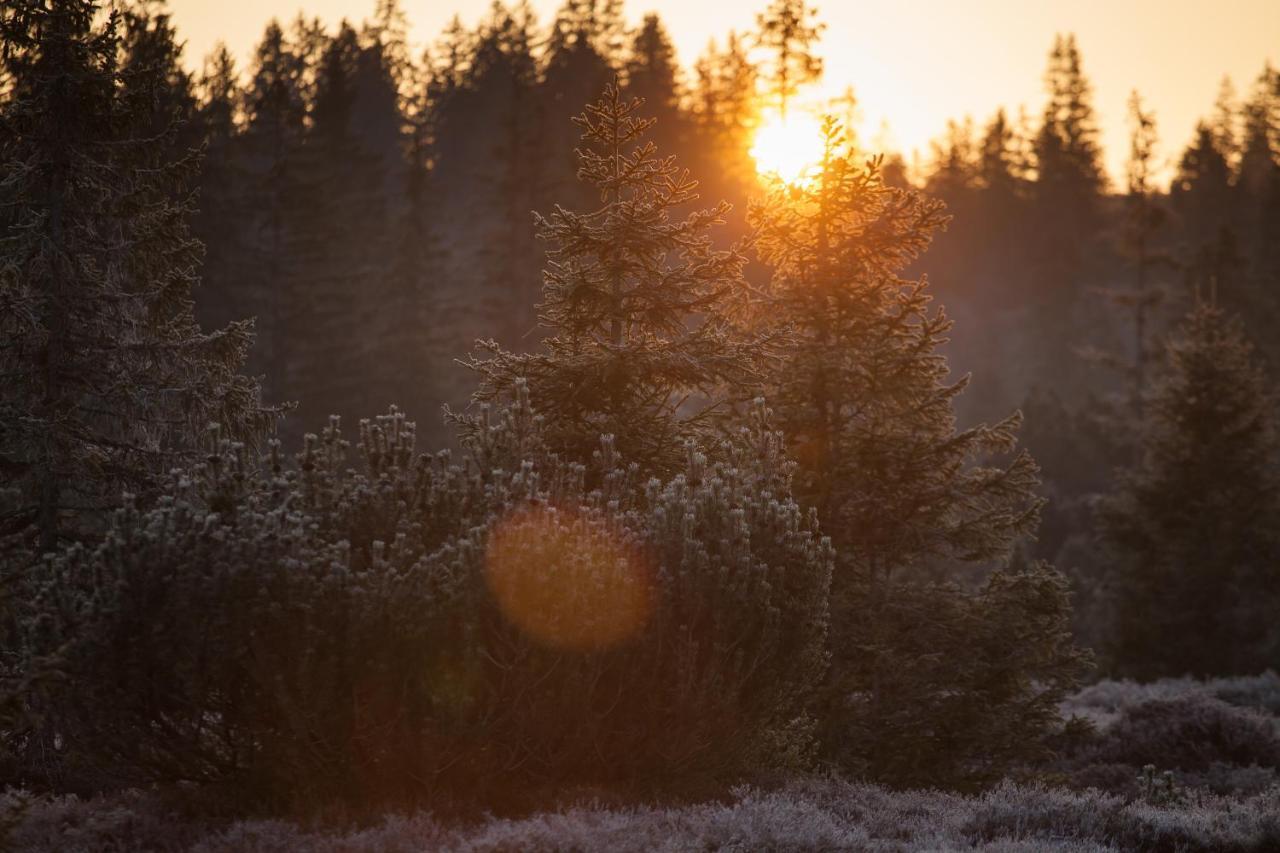 Penzion Horska Kvilda Exteriör bild